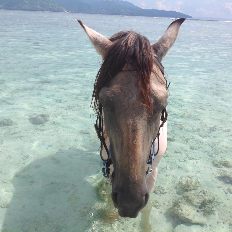 Gili T Sugar Shack Hotel Джили Трауанган Екстериор снимка